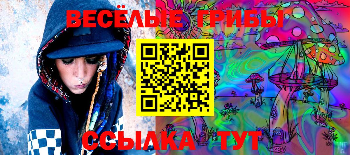 Псилоцибиновые грибы GOLDEN TEACHER  Вход с VPN  Тавда 